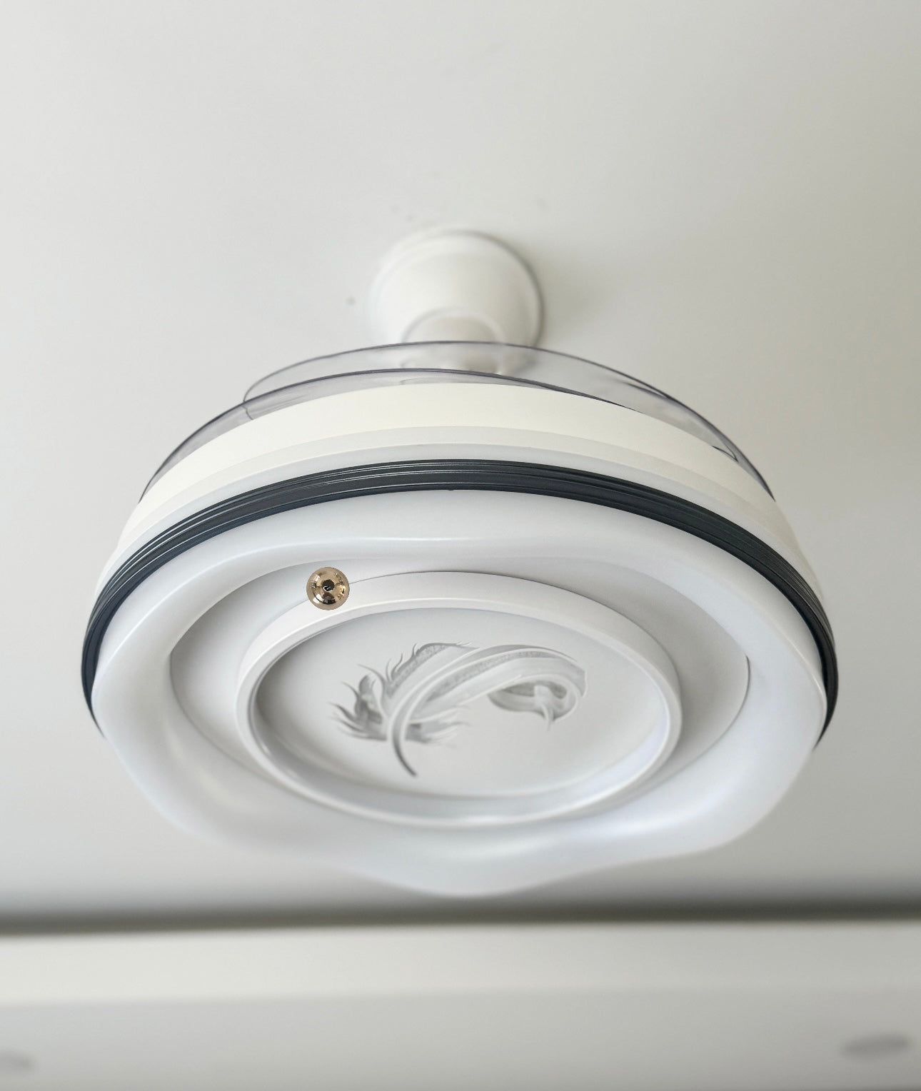 Ventilador de techo Pluma